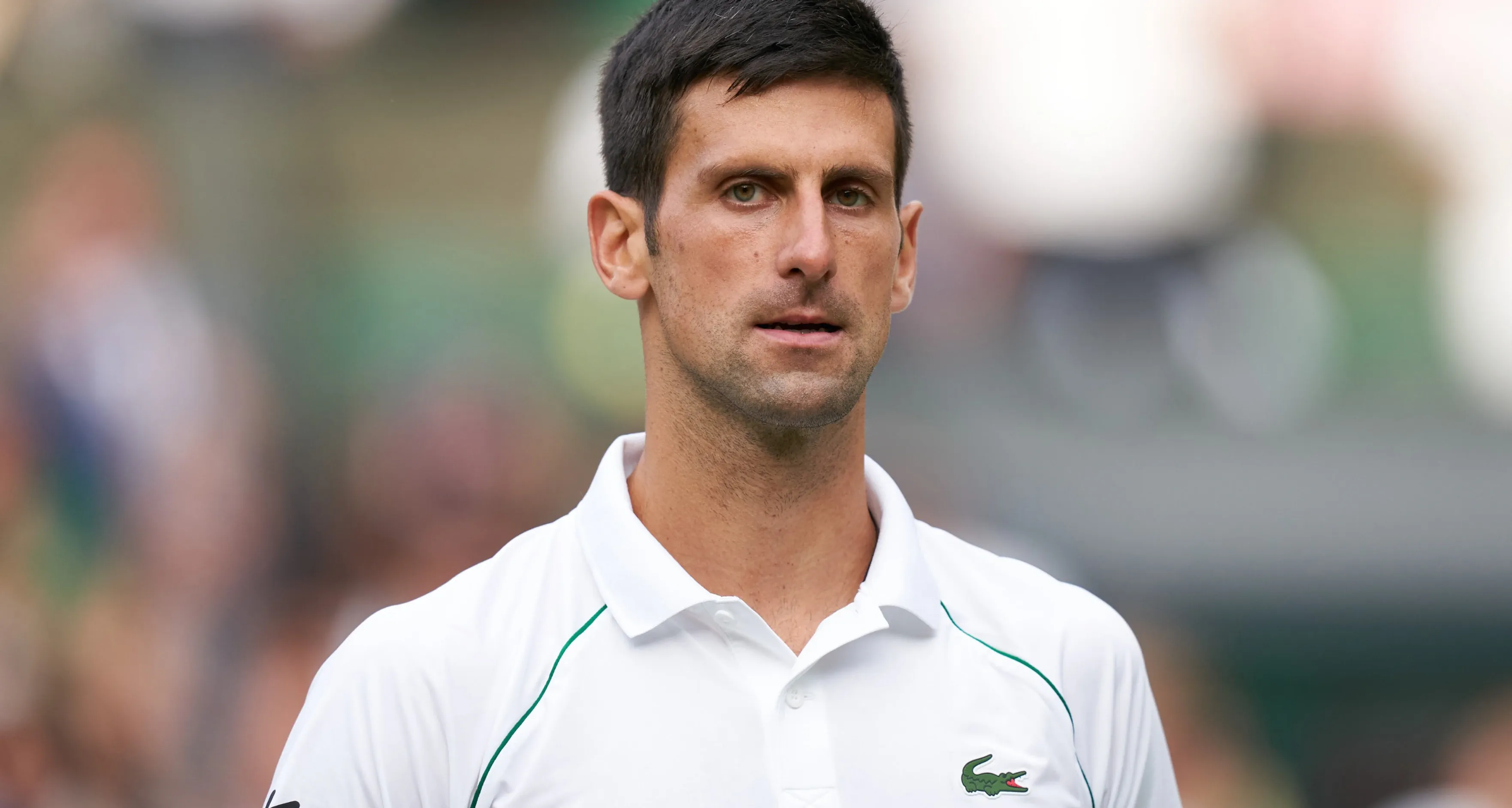 Picture of Novak Djokovic